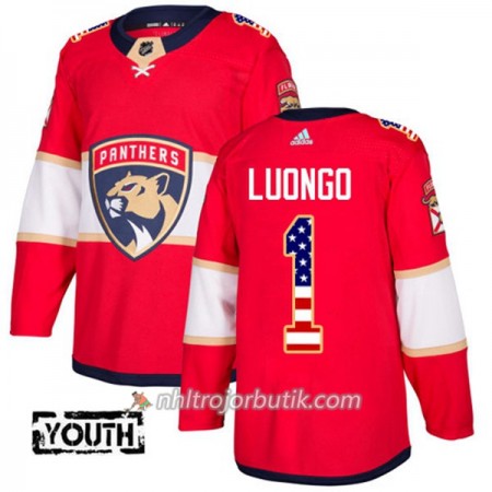 Barn Ishockey Florida Panthers Tröja Roberto Luongo 1 Adidas 2017-2018 Röd USA Flag Fashion Authentic Barn Ishockey Florida Panthers Tröja Roberto Luongo 1 Adidas 2017-2018 Röd USA Flag Fashion Authentic